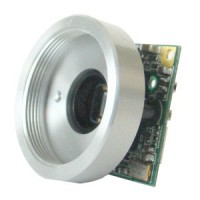 1/3" IT CCD 631 Series, CCIR, Board Camera